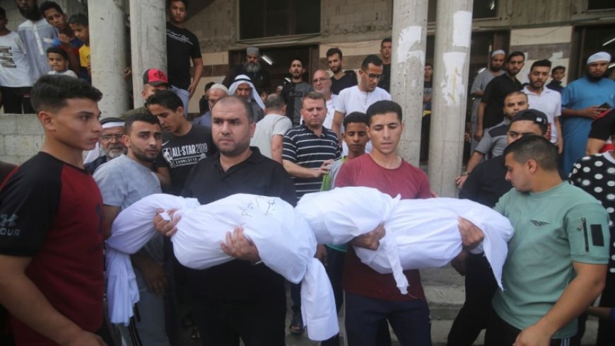 The number of Palestinian martyrs in Gaza exceeds 3500