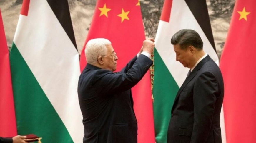 What Islamic Countries Expect from China on the Palestinian Issue