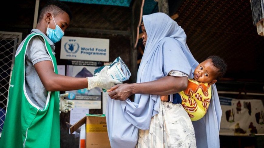 WFP needs 351 million dollars to strengthen its aid in Somalia