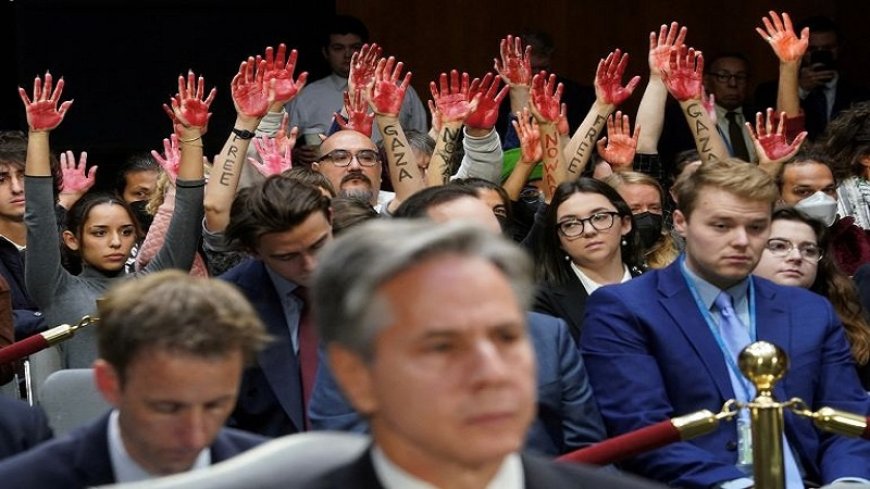 Repeatedly interrupting Blinken's speech to Congress with the raising of bloody hands!