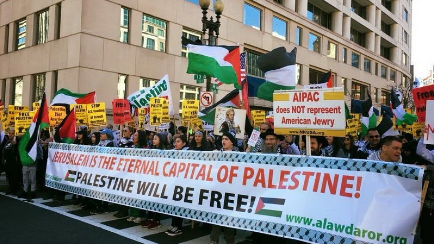 Anti-Zionist demonstrations in Washington