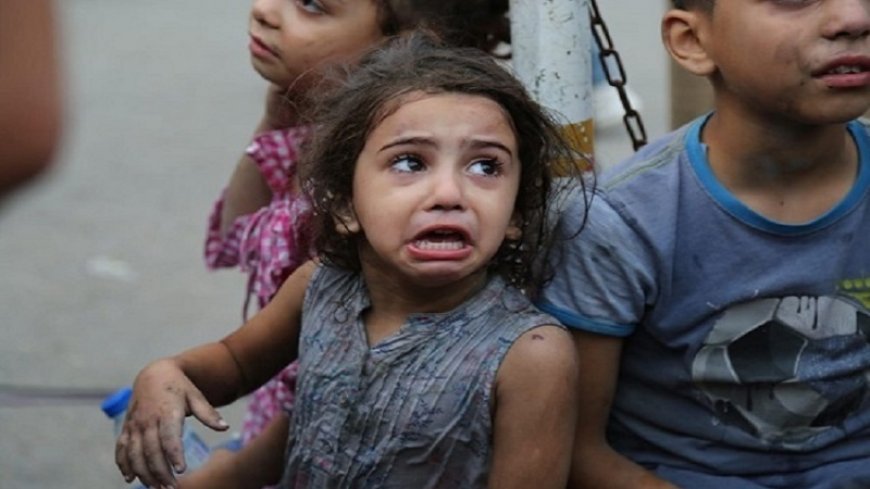 UN: 1.5 million displaced in Gaza