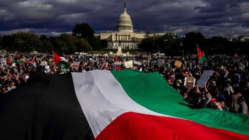 Israeli think tank: 95% of global demonstrations were in support of Palestine