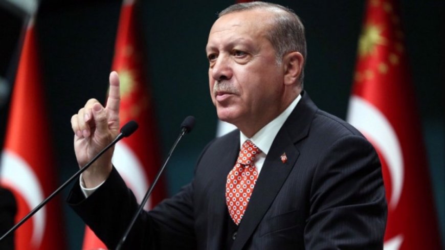 Erdogan's call to reform the UN Security Council