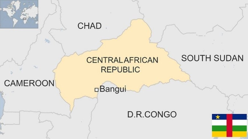 The Central African Republic opposes the United States' intention to send weapons to the country