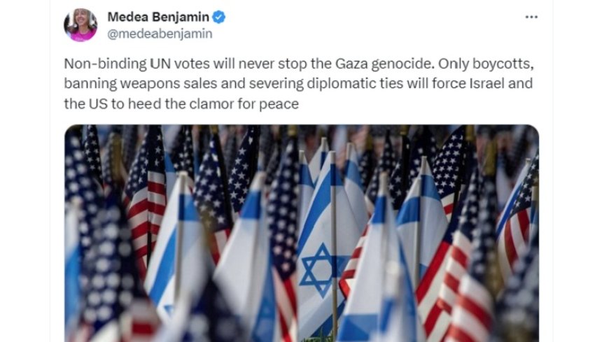 US anti-war activists call for boycott of Israel