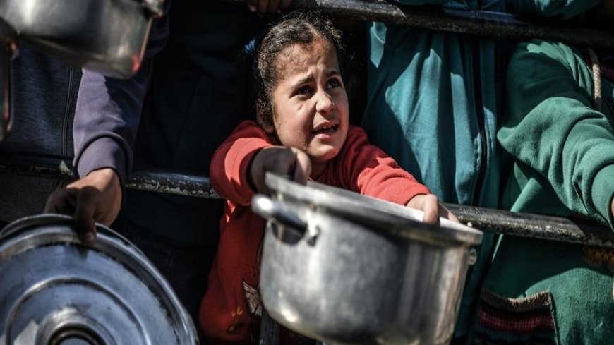 UN agencies: everyone in Gaza is starving as diseases spread