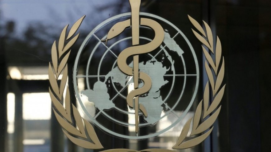 World Health Organization: 600 medical centers were attacked in Gaza