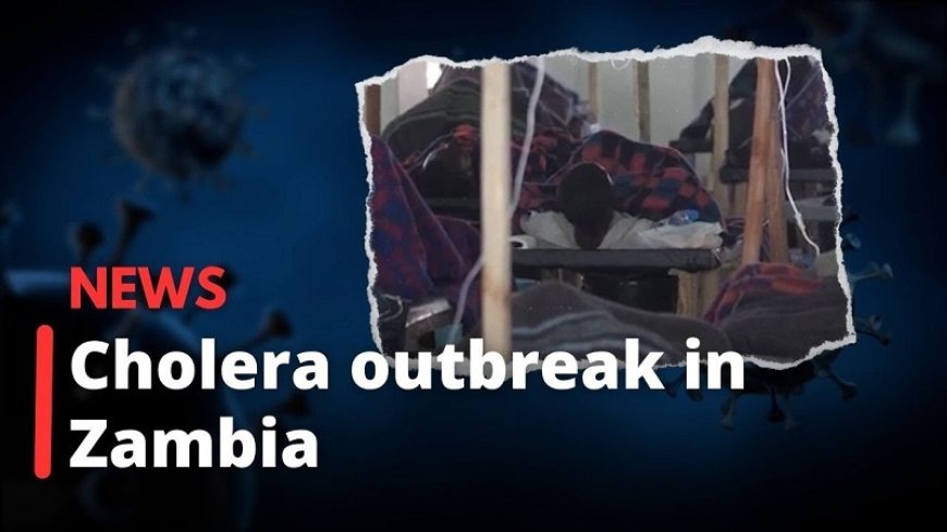 Cholera has been reported in nine out of 10 regions of Zambia, over 400 deaths