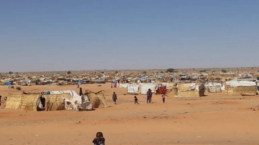 IOM: Those who fled their homes in Sudan have exceeded 10 million