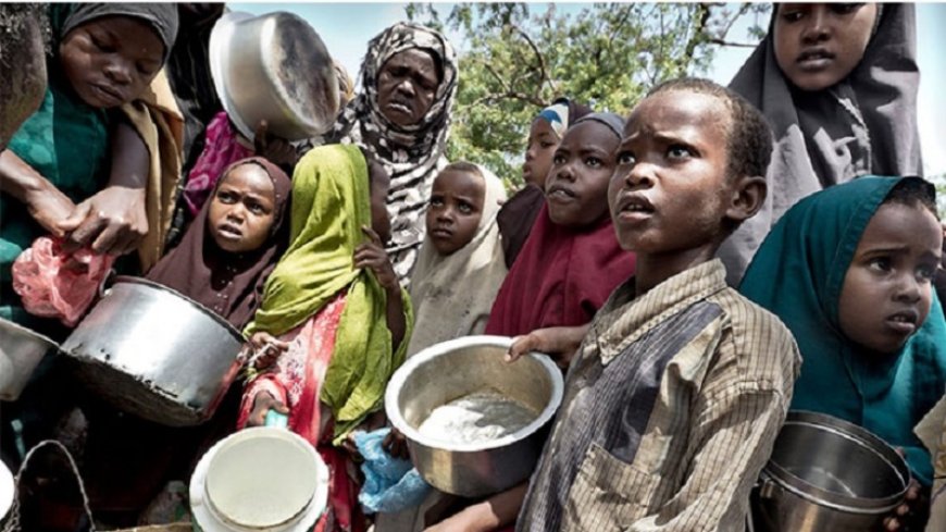 WFP: There are reports of people dying of hunger in Sudan