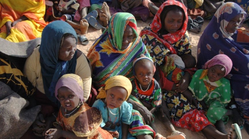 MSF: 13 children die every day in a camp in Darfur, Sudan