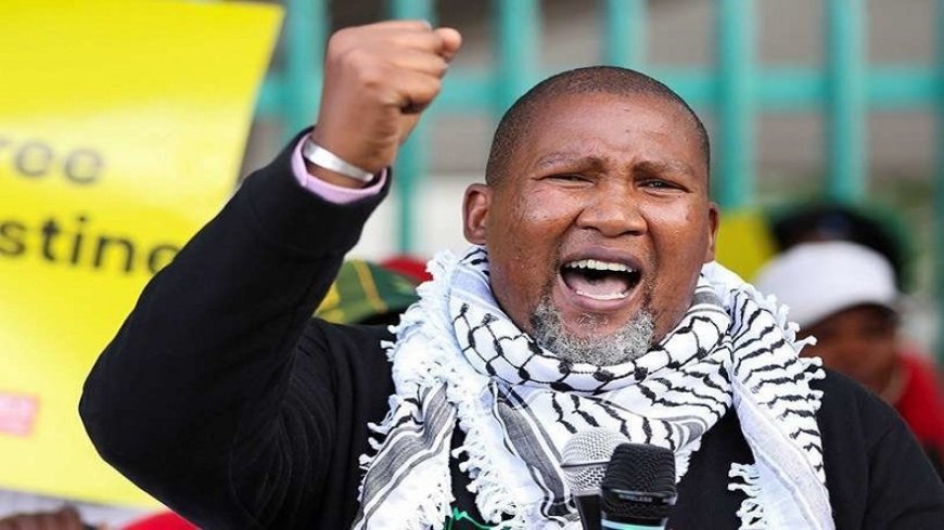 African Politician: Some Arab countries are disappointed in the Palestinian issue
