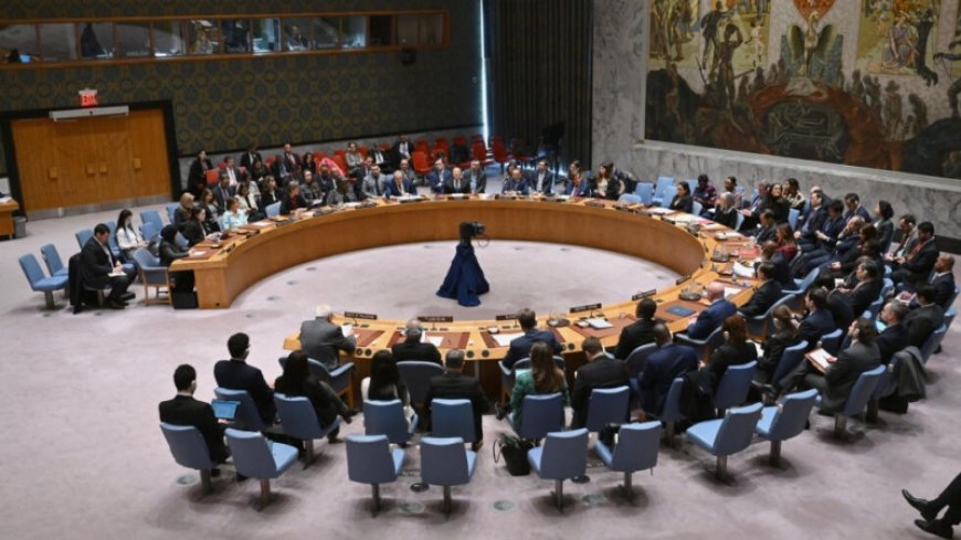 Countries condemn US veto of Gaza ceasefire resolution
