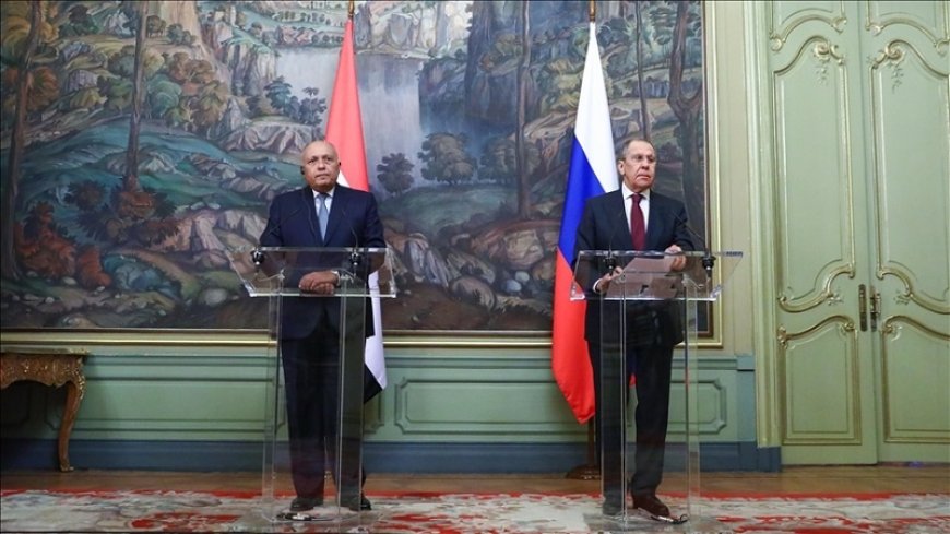 Lavrov and Shoukry discuss the Palestinian situation on the sidelines of the G-20 meeting