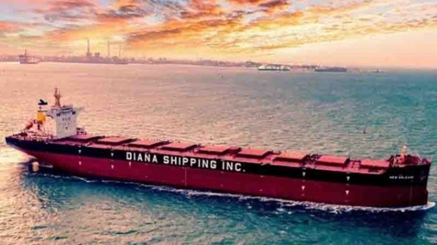 "Diana" cargo transport company has stopped the passage through the Suez Canal