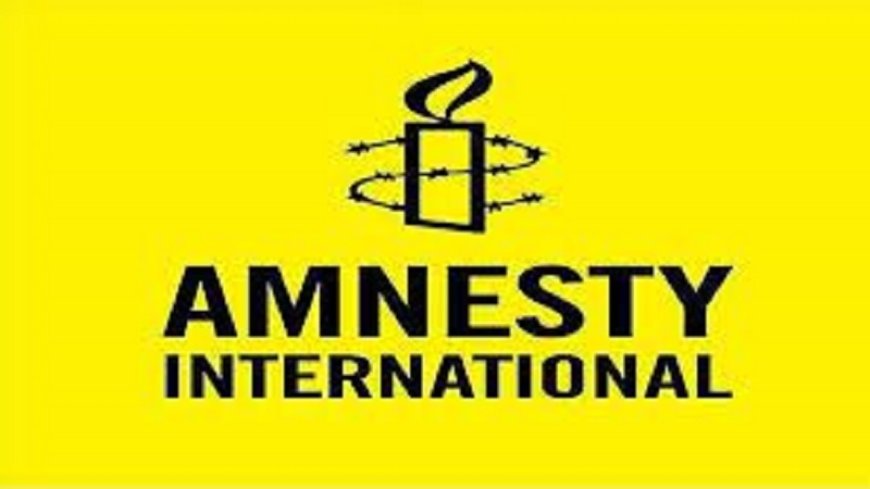 Amnesty International wants an investigation into the killing of those who were waiting for aid in Gaza