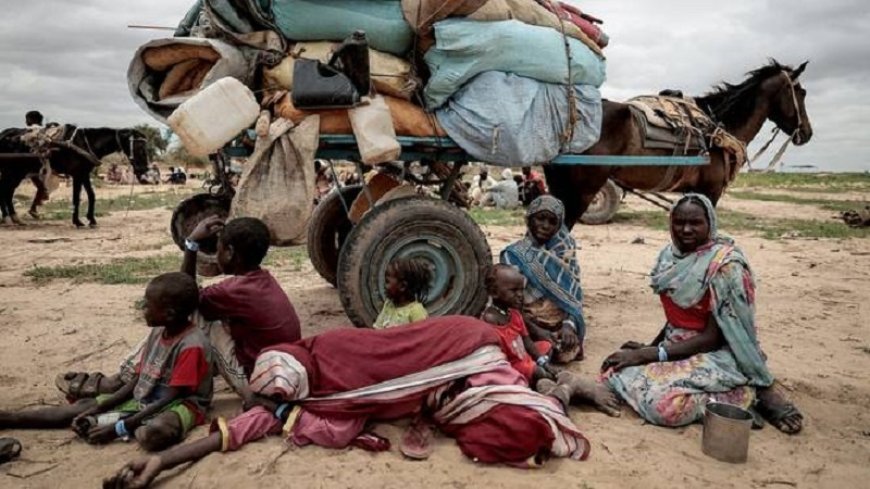 Sudan will soon suffer from a great famine