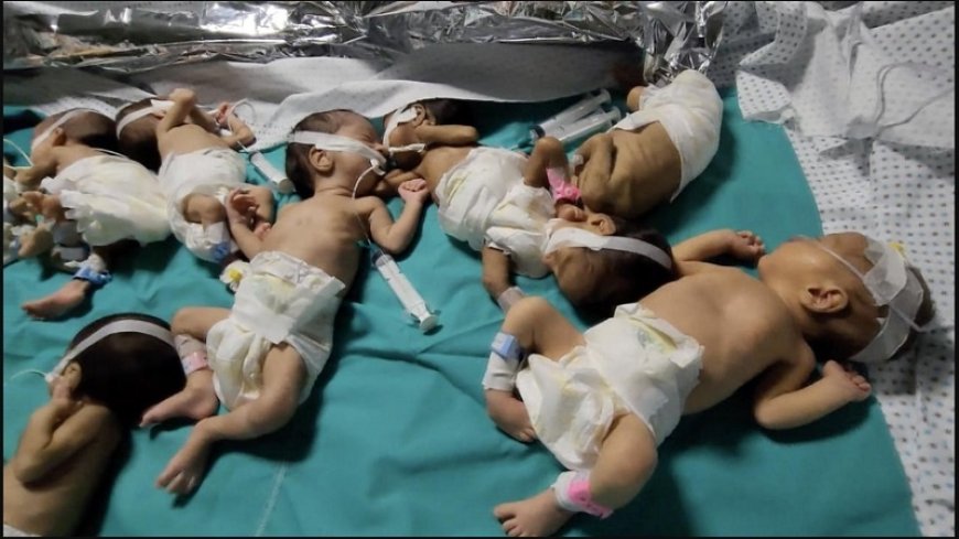 "Hunger" used as a weapon by Zionist Israel caused the death of 16 children in Gaza
