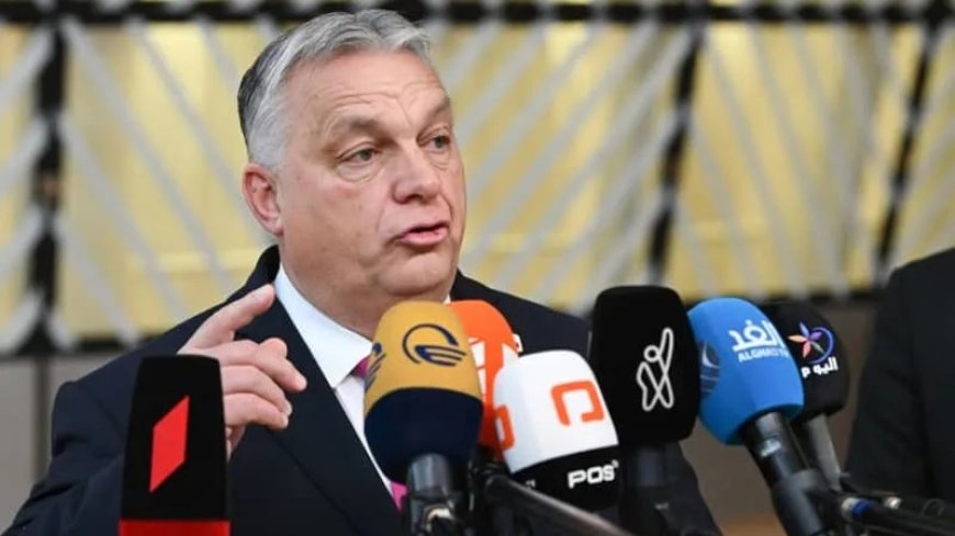 Hungarian Prime Minister's Strong Support for Trump