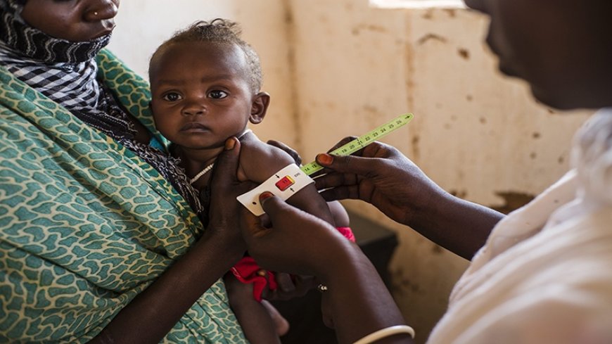 UNHCR: One out of every two refugee children is malnourished in Ethiopia