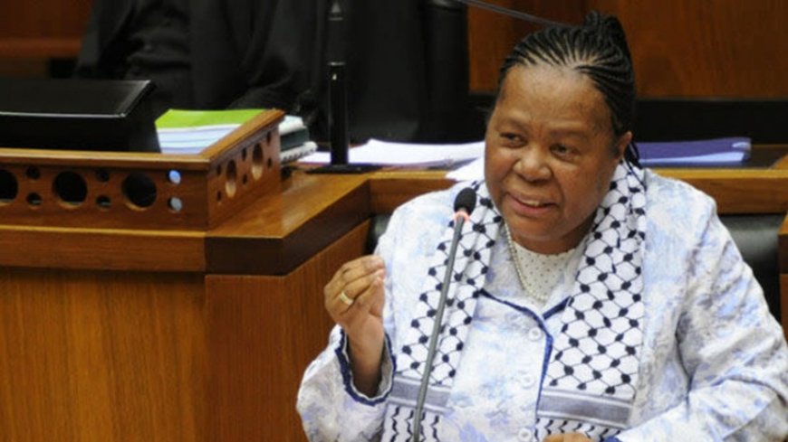 Naledi Pandor: African citizens participating in the war against Gaza will be arrested if they return