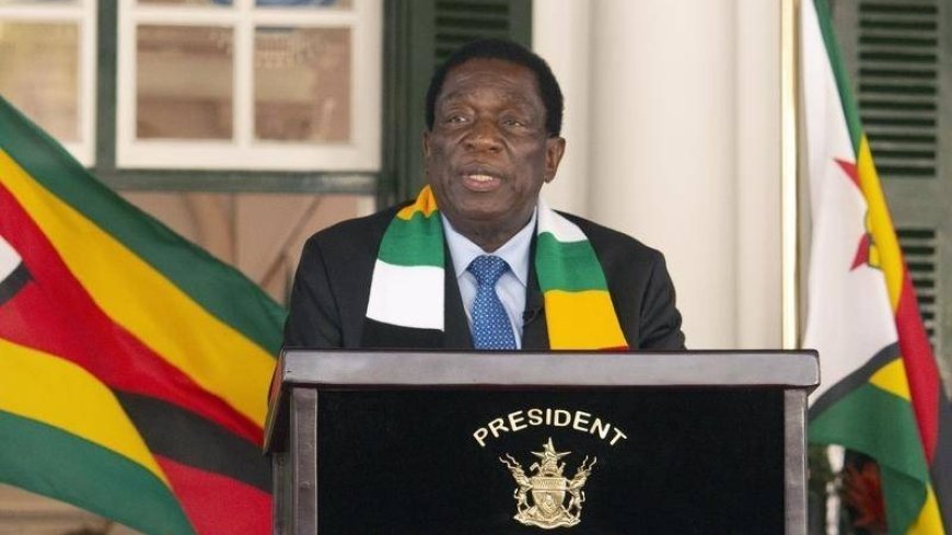 The President of Zimbabwe emphasizes reforms to increase efficiency in the public sector
