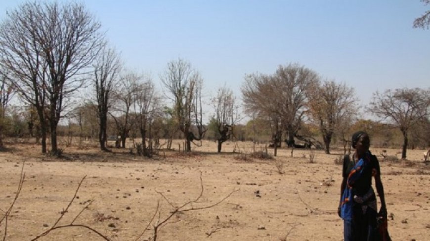 Malawi declares a drought crisis as El Nino brings famine to southern Africa