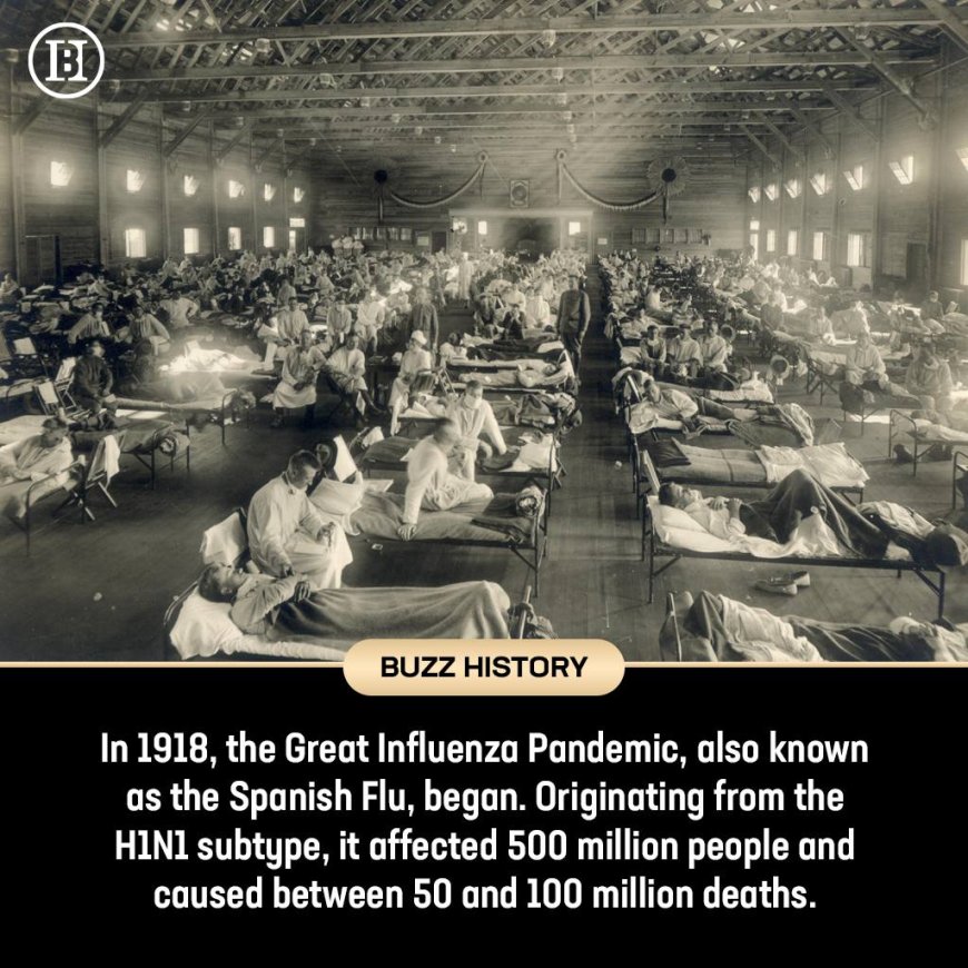 Unlike other influenza epidemics, it affected mainly young people and healthy adults.