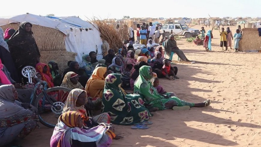 IOM: The wave of refugees is increasing in Kordofan following the fighting between the Sudanese army and the SPLM