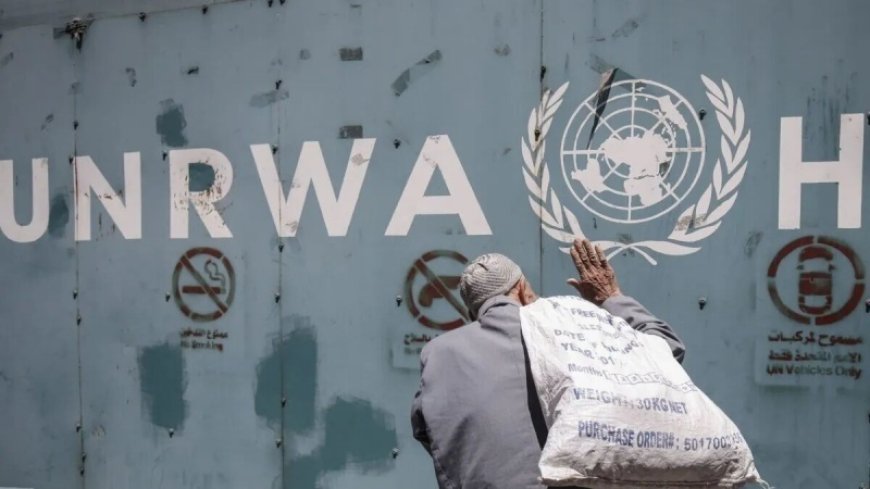 UNRWA is the backbone of aid in the Gaza Strip