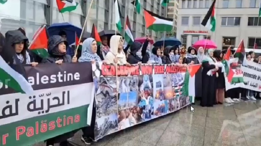 Protests continue worldwide in support of the people of the Gaza Strip