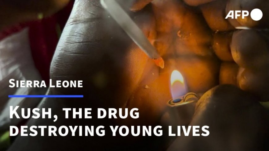 Sierra Leone declares drug abuse to be a national epidemic