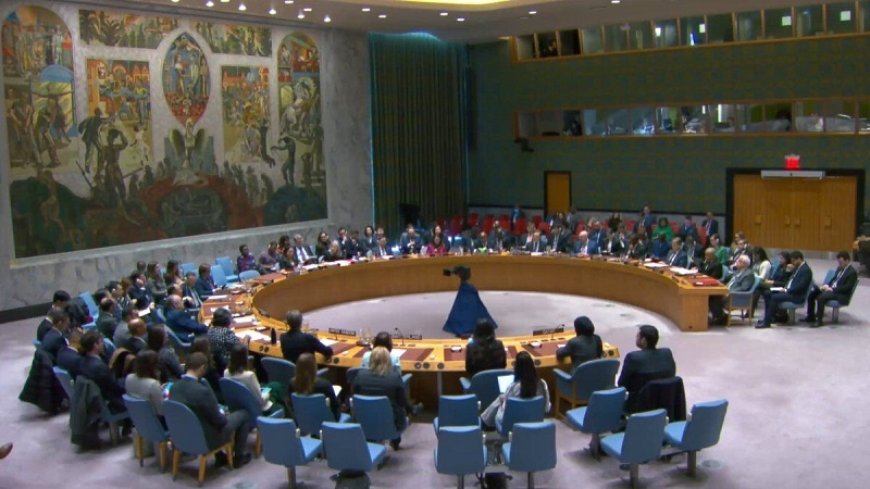 Israel took refuge in the UN Security Council