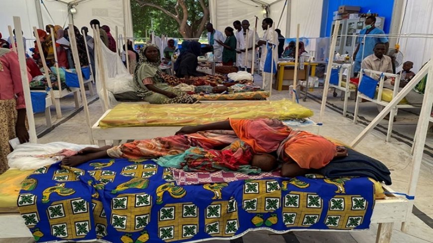 391 people died of cholera and dengue fever in Sudan