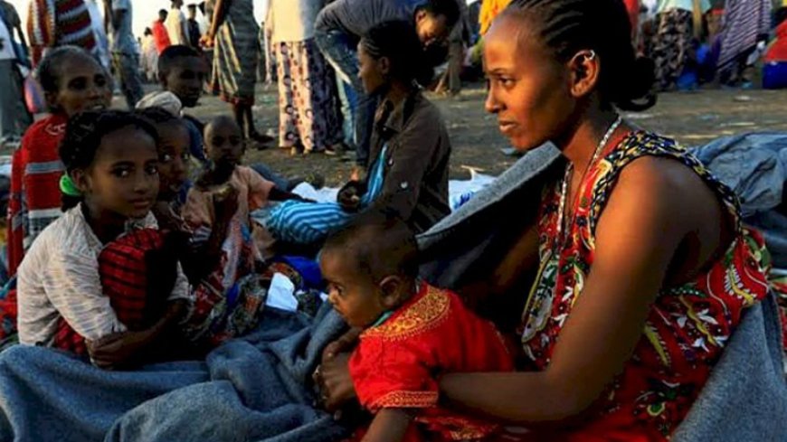 UN: War has forced 50,000 people to flee their homes in northern Ethiopia