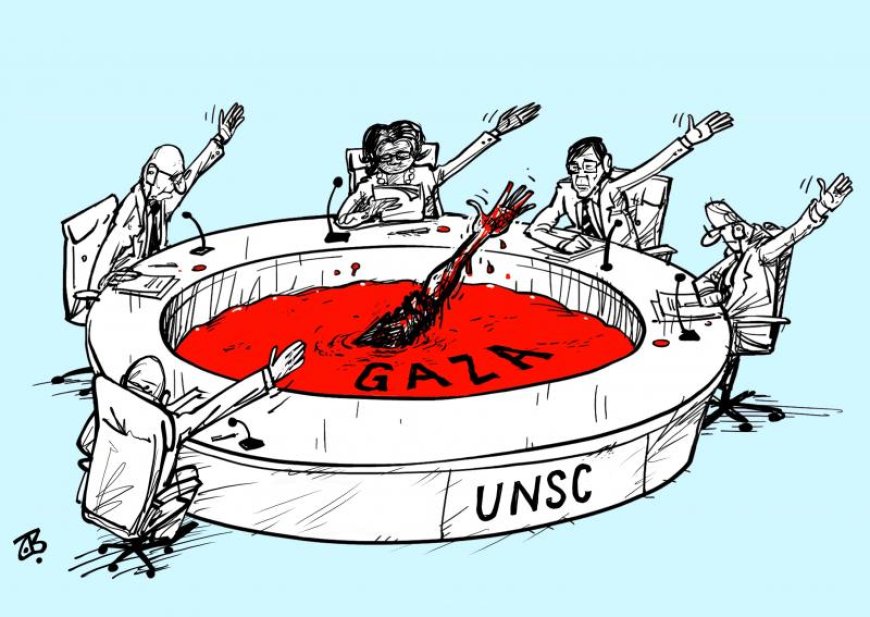 What has UN done about Gaza?