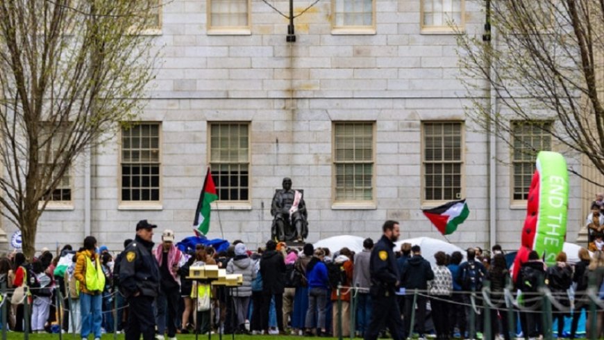 Raising of the Palestinian flag at Harvard University
