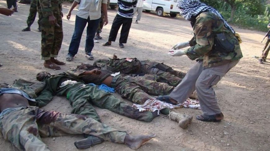 70 al-Shabab terrorists have been killed in Somalia