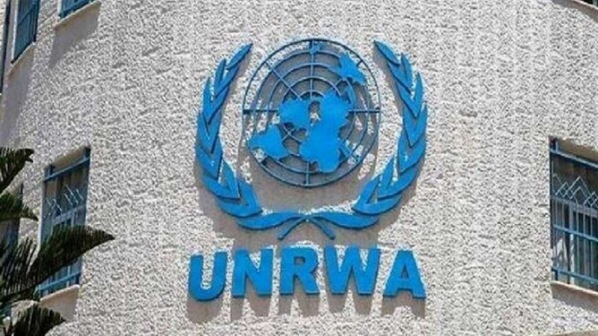 UNRWA: Dozens of children lose their mothers in the Gaza Strip every day