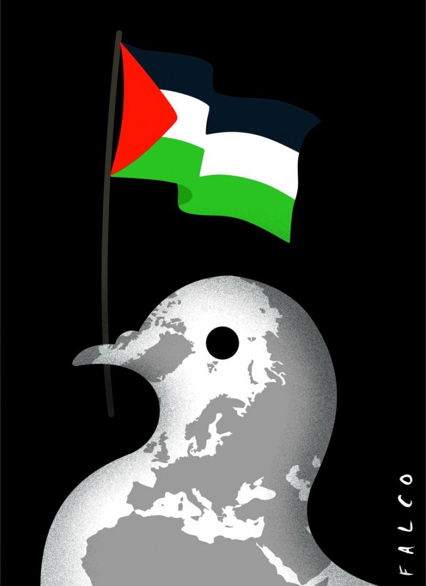 Support for Palestine