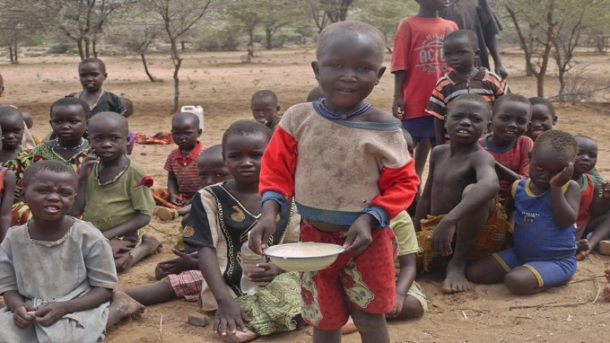 Millions do not have food in three countries in the Sahel region