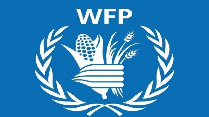 WFP: DRC is facing a 'humanitarian crisis' due to floods
