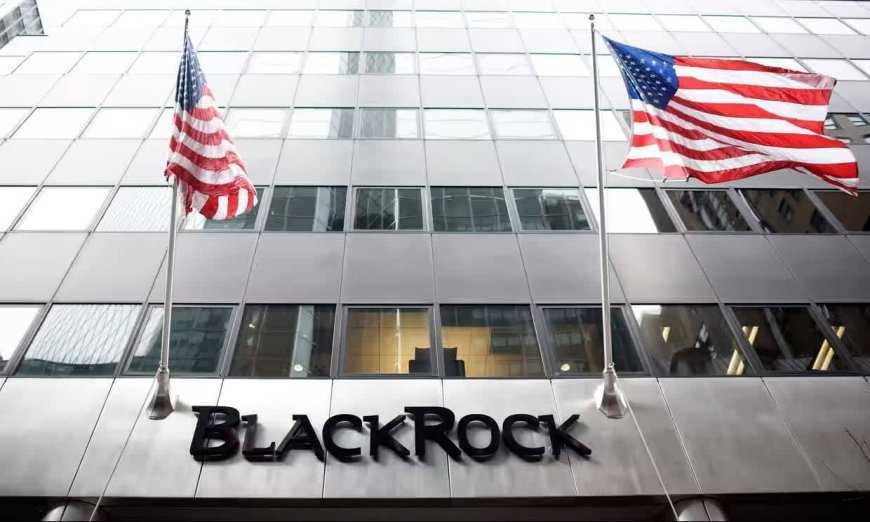 BlackRock's Dark Agenda: An Empire Built by Blood-Stained Dollars on Palestinian Suffering