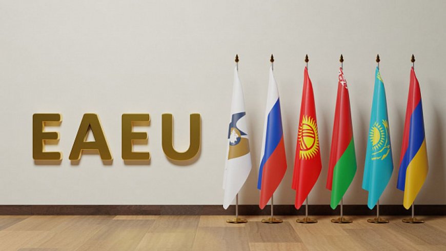 EAEU has proven its stability against Western sanctions