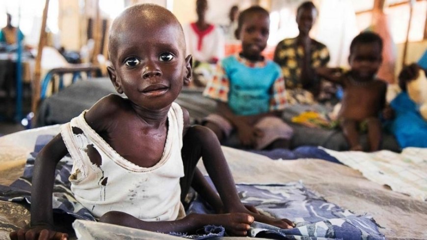 OCHA: The people of Sudan are suffering from cruelty, hunger and disease