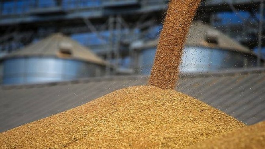 Russia and the United Nations have confirmed the importance of securing Russian grain exports