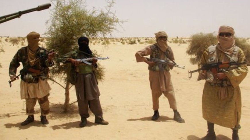 United Nations: Terrorism and organized crime are increasingly a threat in Sahel Africa