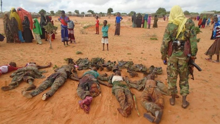 80 al-Shabaab terrorists are destroyed by the Somali army