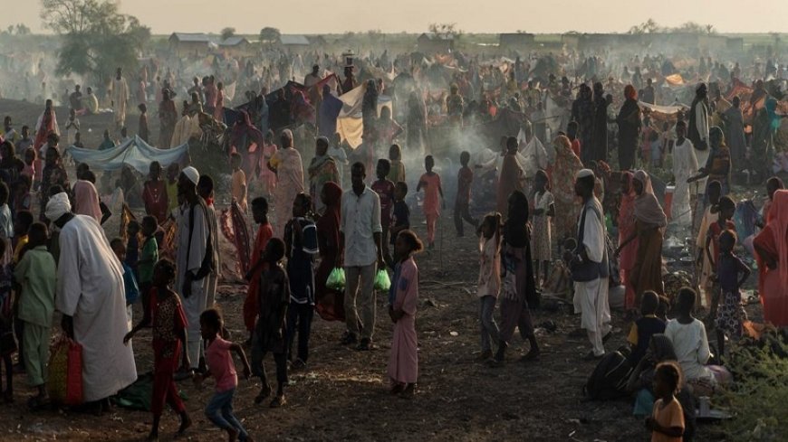 Hunger, murder and sexual violence... MSF will warn about the dire situation in Sudan